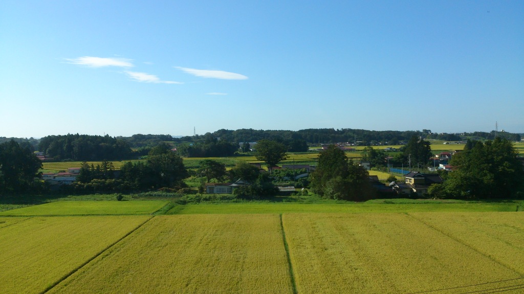 dairoku 2015 9 kurihara