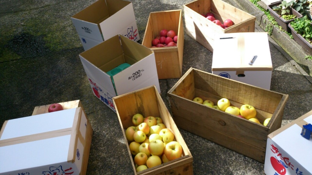 dairoku 2015 10 apple