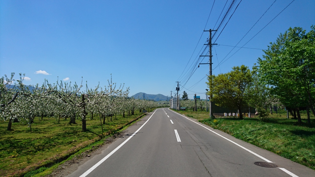 dairoku 2016 5 shimizumori road