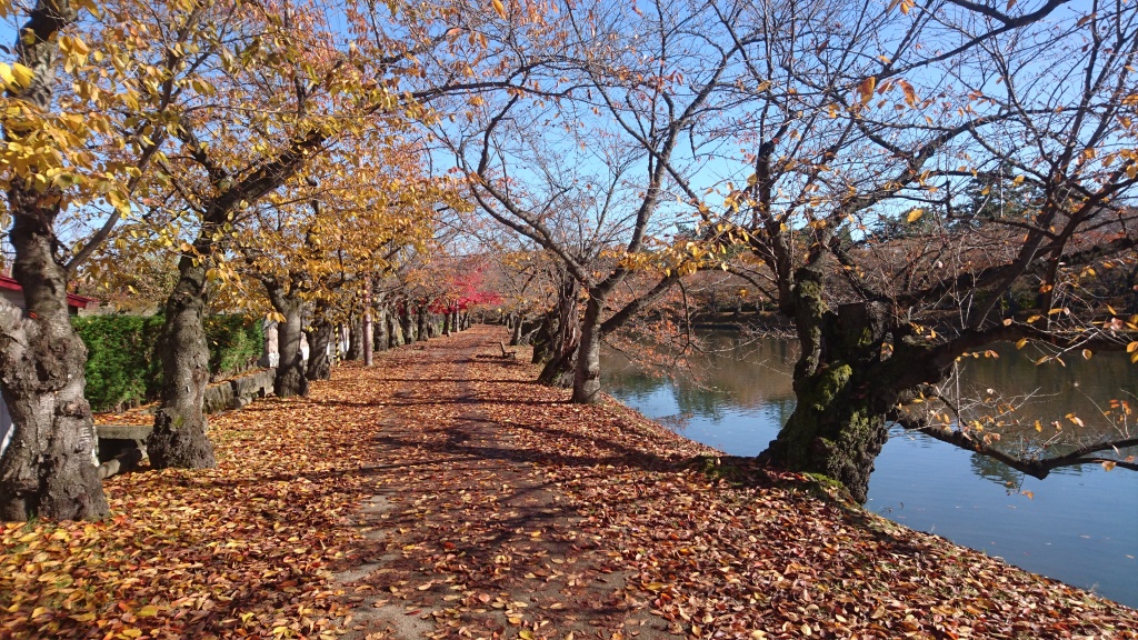 dairoku 2016 11 autumn hirosaki park