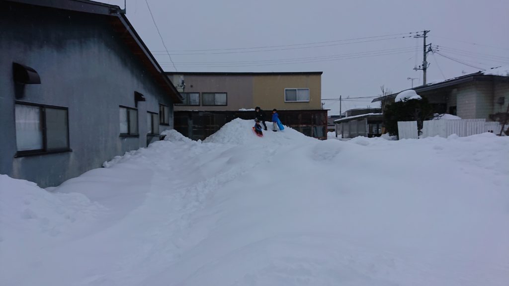 dairoku 2022 2 snow