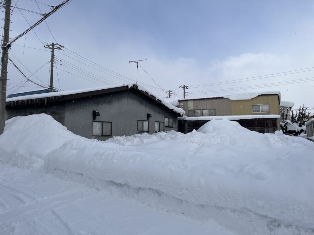 dairoku 2023 1 snow