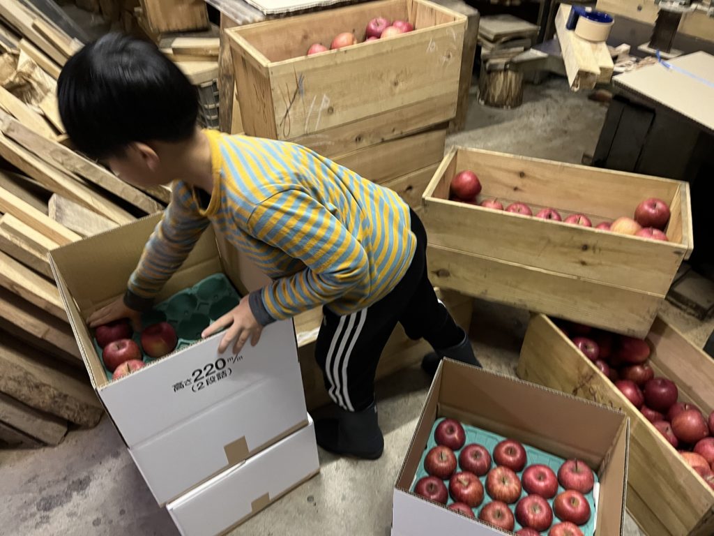 dairoku 2025 12 Apple