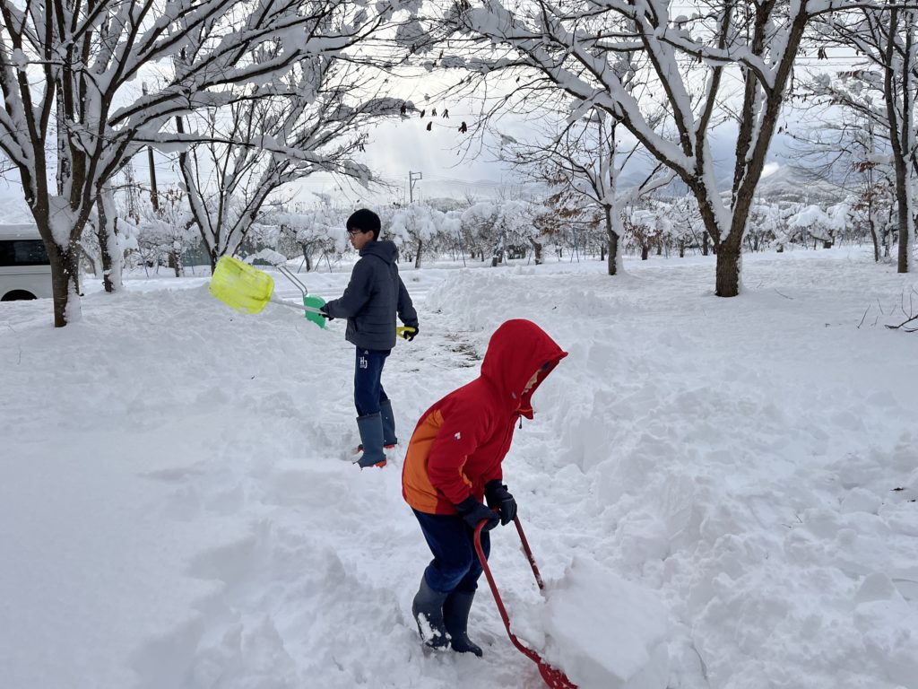 dairoku 2025 12 snow