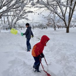 dairoku 2025 12 snow